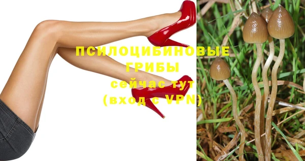 сатива Белоозёрский