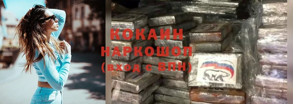 прущий лед Белокуриха