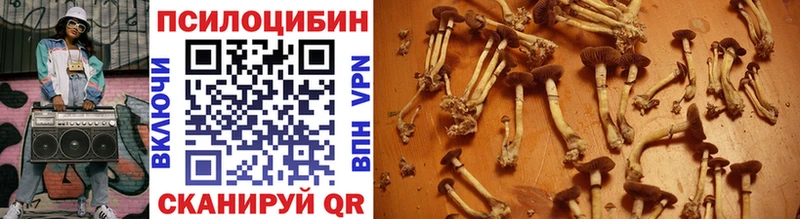Галлюциногенные грибы MAGIC MUSHROOMS купить наркоту Мариинский Посад