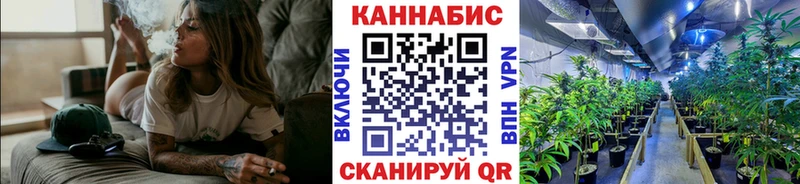 Бошки марихуана план  как найти наркотики  Мариинский Посад 